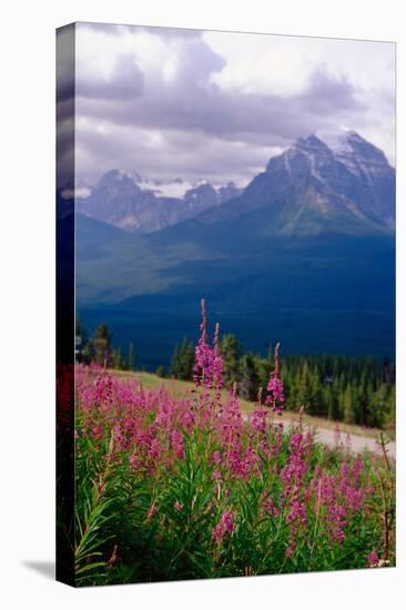 Alpine Meadow, Banff National Park, Canada-George Oze-Premier Image Canvas