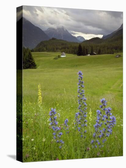 Alpine Meadow, Near Kofels, Umhausen, Otztal Valley, Tyrol, Austria, Europe-Gary Cook-Premier Image Canvas