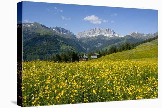Alpine Meadow, Switzerland-Dr. Juerg Alean-Premier Image Canvas