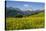 Alpine Meadow, Switzerland-Dr. Juerg Alean-Premier Image Canvas