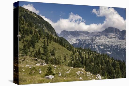 alpine pastures on the Jôf di Montasio, Italy-Simone Wunderlich-Premier Image Canvas