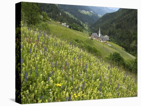 Alpine Wild Flower Meadow, Dolomites, Italy, Europe-Gary Cook-Premier Image Canvas