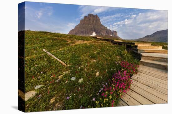 Alpine Wildflowers Along Boardwalk , Glacier National Park, Montana-Chuck Haney-Premier Image Canvas