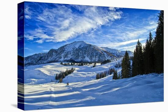 Alpine Winter Landscape, Austria, Europe-Sabine Jacobs-Premier Image Canvas