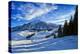 Alpine Winter Landscape, Austria, Europe-Sabine Jacobs-Premier Image Canvas