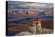 Alstrom Point Page, Arizona, USA, Lake Powell-John Ford-Premier Image Canvas