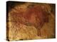 Altamira Cave Painting of a Bison-Javier Trueba-Premier Image Canvas