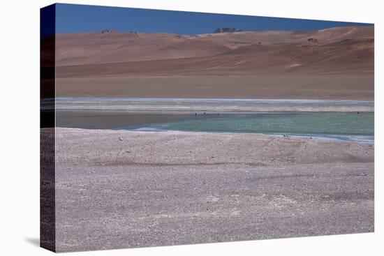 Altiplano, Chile, in the Atacama Desert Is This Green Lagoon-Mallorie Ostrowitz-Premier Image Canvas