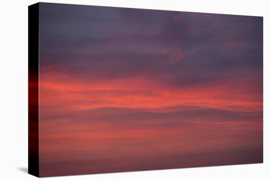 Altocumulus and Cirrus Clouds in the Evening Light-Greg Probst-Premier Image Canvas