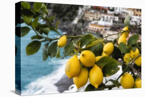 Amalfi Coast Citrus Fruit, Positano, Italy-George Oze-Premier Image Canvas