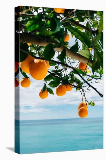 Amalfi Coast Oranges IV-Bethany Young-Premier Image Canvas