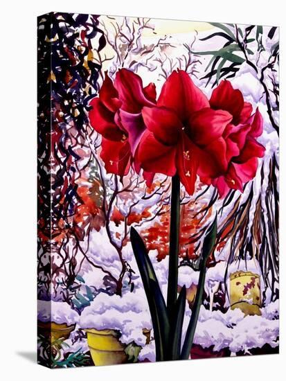 Amaryllis by Snow Window-Christopher Ryland-Premier Image Canvas