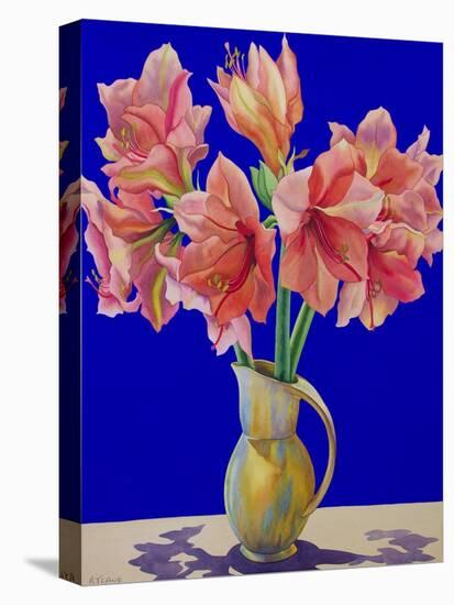 Amaryllis in a Jug, 2007-Christopher Ryland-Premier Image Canvas