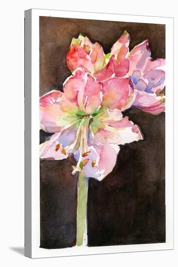 Amaryllis with Brown Background, 2015-John Keeling-Premier Image Canvas