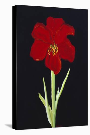 Amaryllis-Soraya Chemaly-Premier Image Canvas