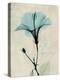 Amazing Hibiscus-Albert Koetsier-Stretched Canvas