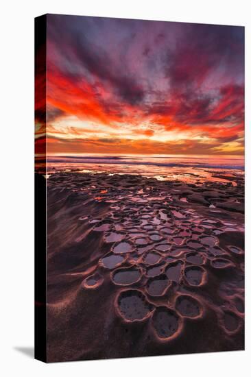 Amazing Sunset at the Tide Pools in La Jolla, Ca-Andrew Shoemaker-Premier Image Canvas