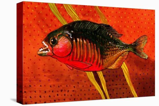 Amazon Piranha-John Newcomb-Premier Image Canvas