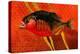 Amazon Piranha-John Newcomb-Premier Image Canvas