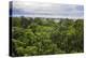 Amazon Rainforest at Sacha Lodge, Coca, Ecuador, South America-Matthew Williams-Ellis-Premier Image Canvas