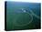 Amazon River, Amazon Jungle, Aerial View, Brazil-Steve Vidler-Premier Image Canvas