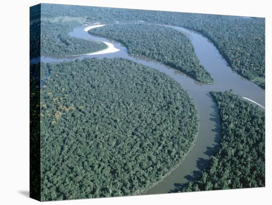 Amazon River, Amazon Jungle, Brazil-null-Premier Image Canvas