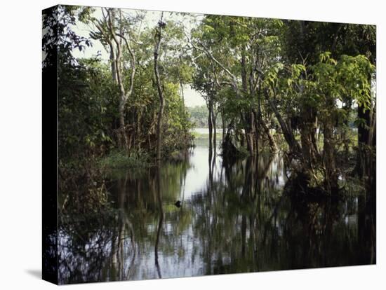 Amazon River, Brazil-null-Premier Image Canvas