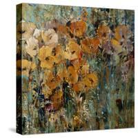 Amber Poppy Field II-Tim O'toole-Stretched Canvas
