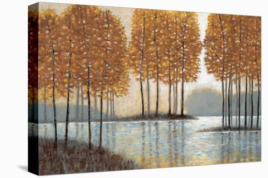 Amber Reflections-Norman Wyatt Jr.-Stretched Canvas