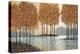 Amber Reflections-Norman Wyatt Jr.-Stretched Canvas