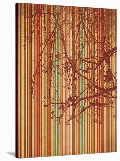 Amber Stripe-Erin Clark-Stretched Canvas