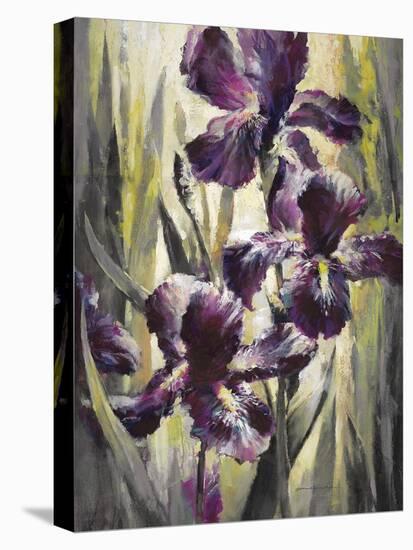 Ambient Iris 1-Brent Heighton-Stretched Canvas