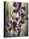 Ambient Iris 1-Brent Heighton-Stretched Canvas