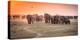 Amboseli Morning Stroll to Starbucks-Jeffrey C. Sink-Premier Image Canvas