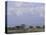 Amboseli National Park and Mt. Kilimanjaro, Kenya, Africa-Charles Bowman-Premier Image Canvas