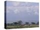 Amboseli National Park and Mt. Kilimanjaro, Kenya, Africa-Charles Bowman-Premier Image Canvas