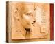 Amenhotep III-Joadoor-Stretched Canvas