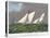 America's Cup, 1885-Currier & Ives-Premier Image Canvas