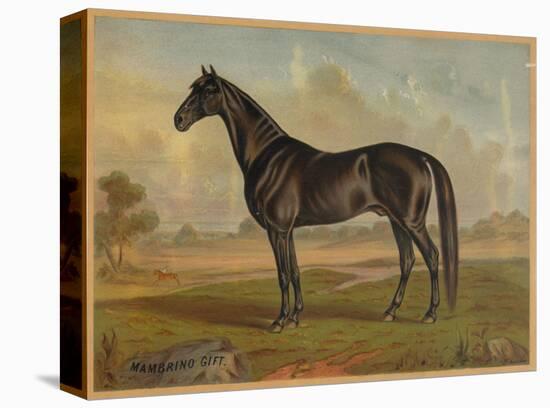 America’s Renowned Stallions, c. 1876 II-Vintage Reproduction-Stretched Canvas