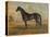 America’s Renowned Stallions, c. 1876 II-Vintage Reproduction-Stretched Canvas