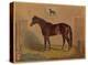 America’s Renowned Stallions, c. 1876 III-Vintage Reproduction-Stretched Canvas
