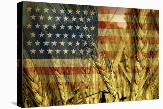 American Agriculture-digitalista-Stretched Canvas