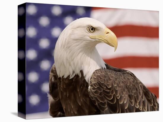 American Bald Eagle Portrait Against USA Flag-Lynn M^ Stone-Premier Image Canvas