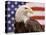 American Bald Eagle Portrait Against USA Flag-Lynn M^ Stone-Premier Image Canvas