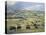 American Bison herd grazing on praire, Theodore Roosevelt NP, North Dakota-Tim Fitzharris-Stretched Canvas