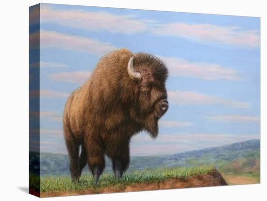 American Bison-James W Johnson-Premier Image Canvas