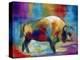 American Buffalo-Marilyn Dunlap-Stretched Canvas