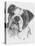 American Bulldog-Barbara Keith-Premier Image Canvas