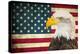 American Eagle 2-Kimberly Allen-Stretched Canvas