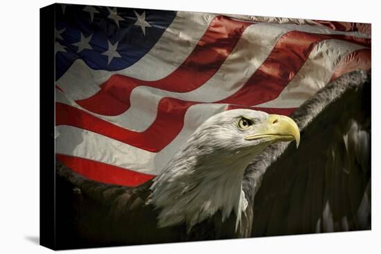 American Eagle-Jai Johnson-Premier Image Canvas